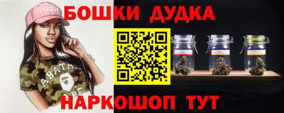 индика Лесосибирск