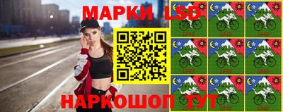индика Лесосибирск