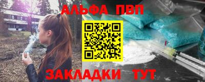 индика Лесосибирск