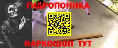 индика Лесосибирск