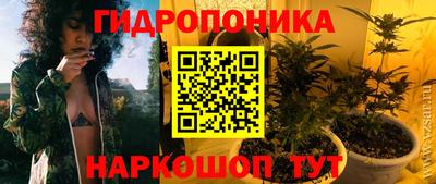индика Лесосибирск