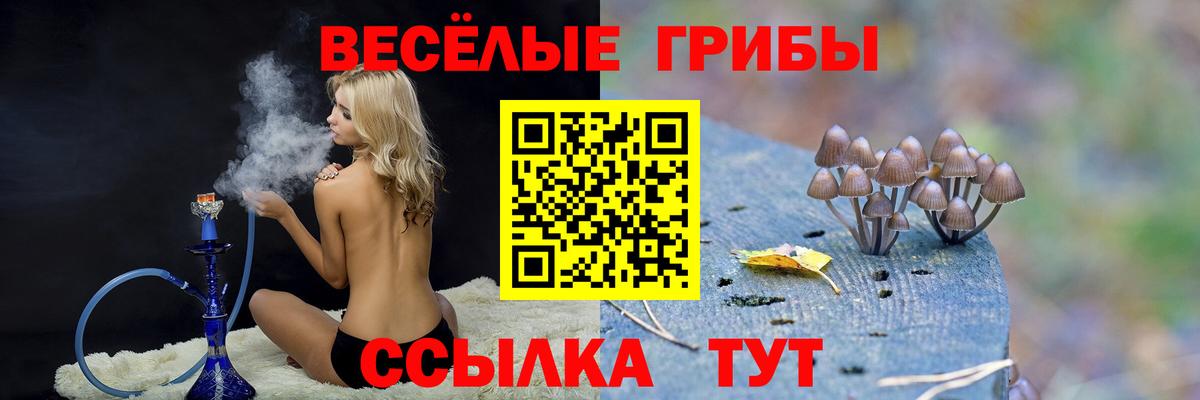 Псилоцибиновые грибы Cubensis  Вход с VPN  Воскресенск 